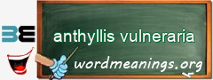 WordMeaning blackboard for anthyllis vulneraria